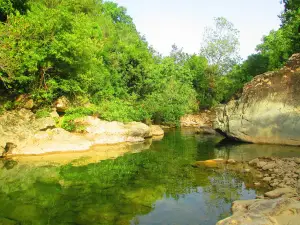 Taza National Park