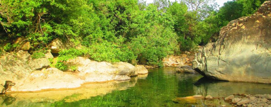 Taza National Park