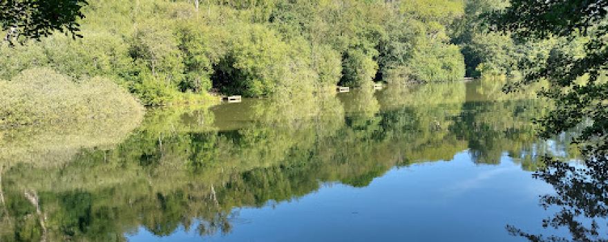 Wych Lodge Lake
