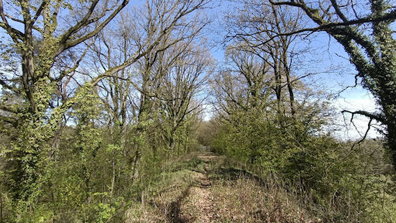 Eisenbahnviadukt Staersbeck