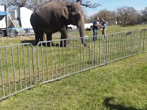 Rockdale Fair Park & Rodeo Arena