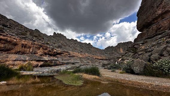 Wadi Damm Pools