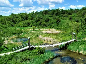 Eternal springs virden mb