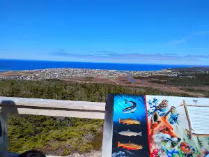 Farmers Hill/Bennett's Hill