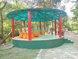 Mangrove Safari Shravasti