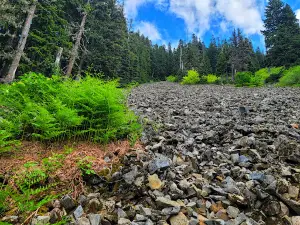 Annette Lake Trailhead