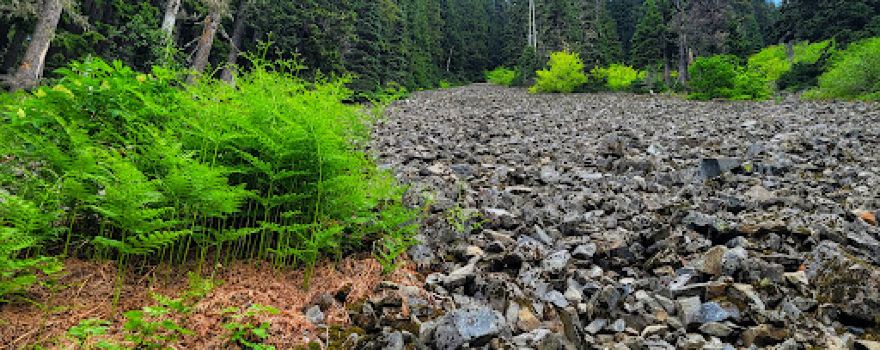 Annette Lake Trailhead