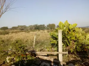 Sindicato Rural de Camaquã