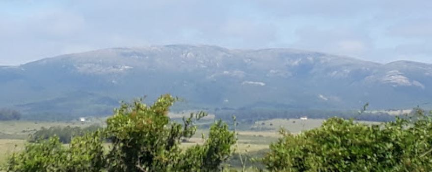 Viejo Tacuari