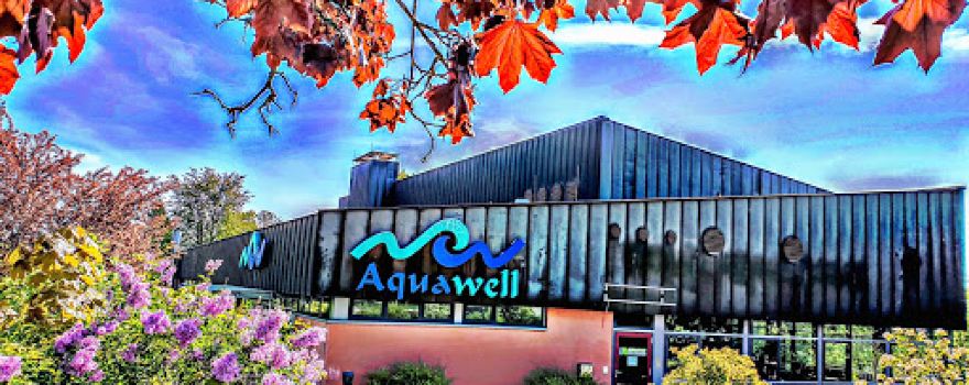 Wellenhallenbad Aquawell