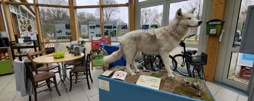 NaturParkZentrum am Wildgehege Glauer Tal
