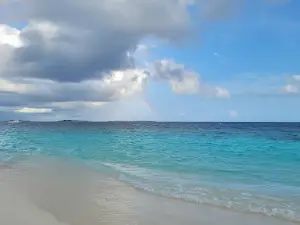 Raa Maamigili