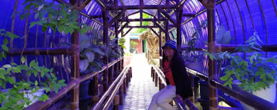 TAMAN FAIZ