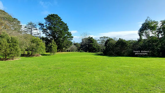 Arthurs Seat