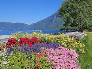 Fjordparken