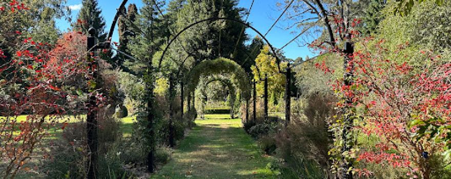 Nooroo Garden Mount Wilson