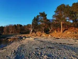Fjærvika Badestrand