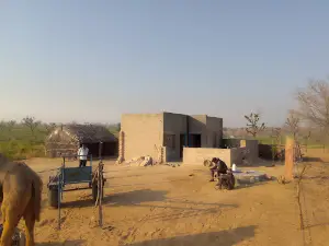 Tiranga Circle