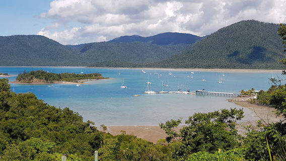 Coral beach walking track