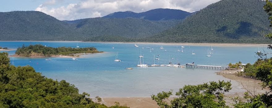 Coral beach walking track