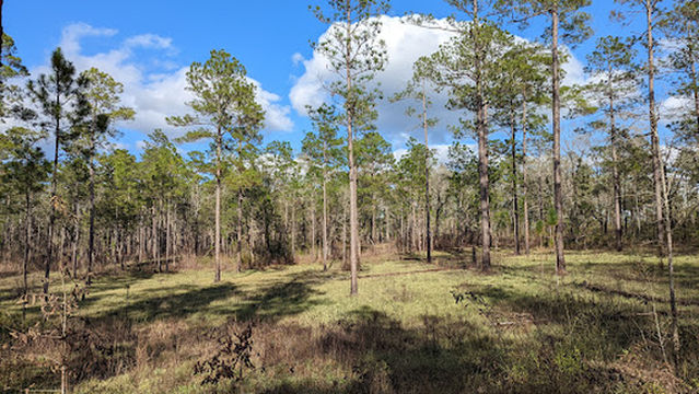 North Hurricane Lake Recreation Area