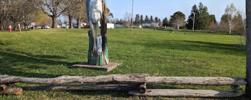 Blue Heron Camping