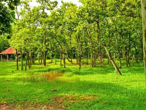 Hatibandha Forest Bit