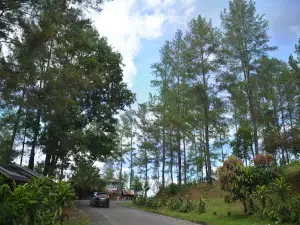 Tajuk Enang-enang