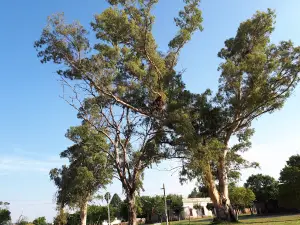 Plaza de Garibaldi