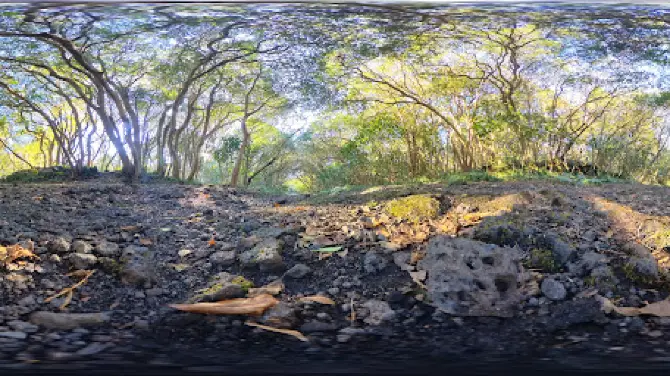 Vegetation Regeneration Trail.Oshima hot spring hotel trailhead.