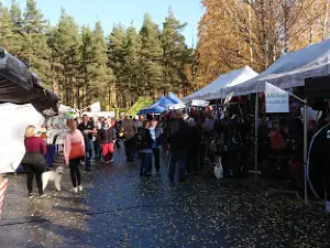 Västra skogen, friluftsområde