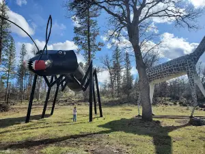 Packway Materials Sculpture Park