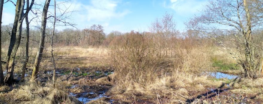 Boswachterspad Oudemolense Diep