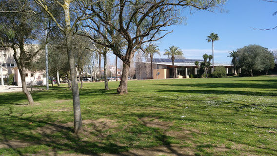 Manacor