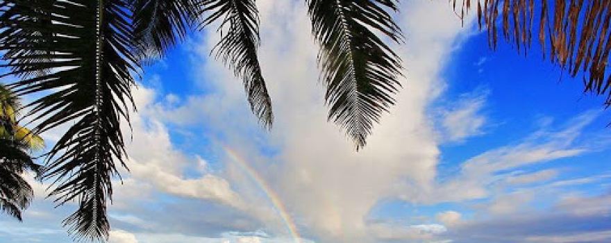 Elite Adventures Belize