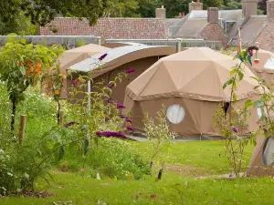 Durrell Wildlife Camp