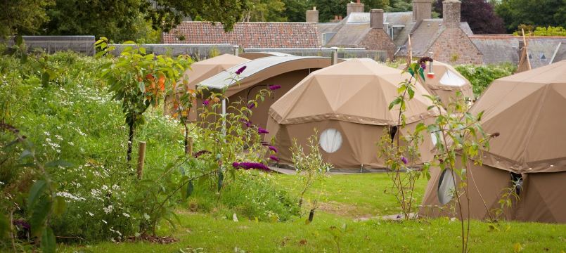Durrell Wildlife Camp