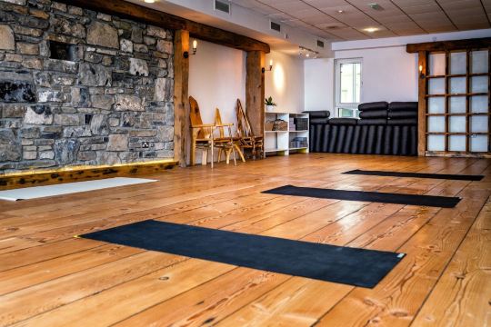 The Yoga Root
