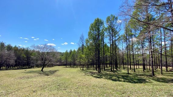 bai quan xian liang mian shan feng jing qu