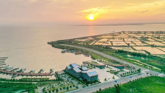 Hubei Honghu National Nature Reserve