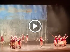 Festival de Dança de Joinville