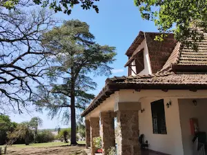 Palmar de Colon