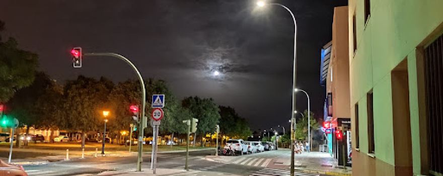 Perros Bormujos Park