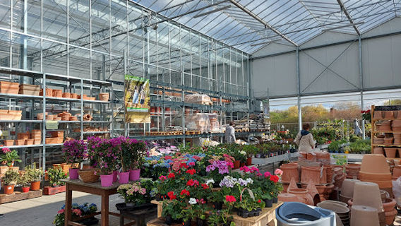 Oázis Kertészet Pécs