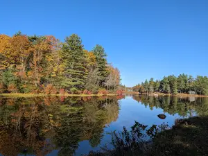 South Uncanoonuc