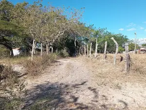 Velú Park