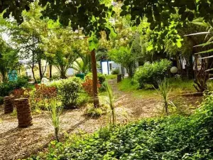 Aquaclida jardin