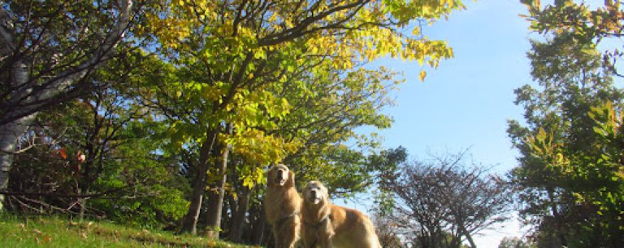 Esashicho Hokko Park