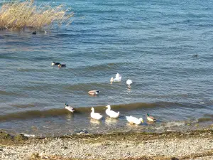 Golbasi Picnic Area