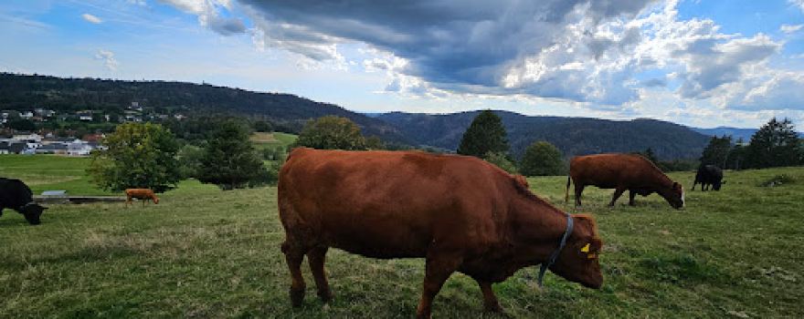 Wildtierpfad